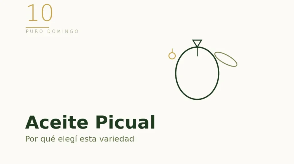 Ilustración de una aceituna Picual con su forma en pico