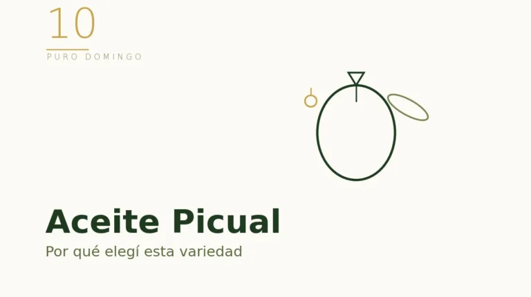 Ilustración de una aceituna Picual con su forma en pico