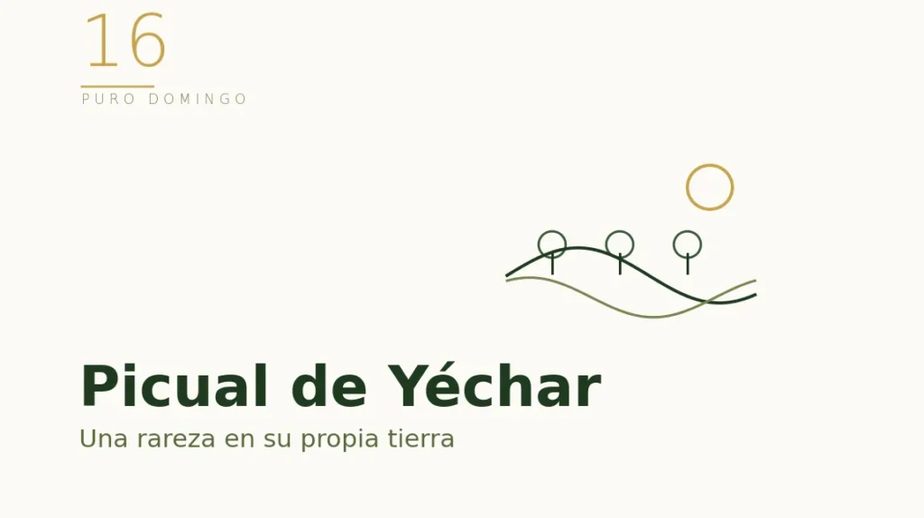 Ilustración de un olivar: Picual de Yéchar, en Murcia