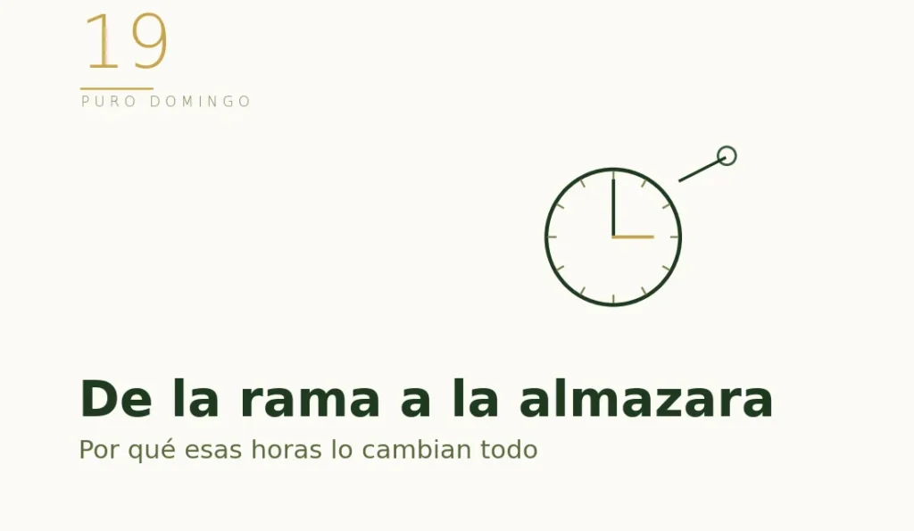 Ilustración de un reloj: las horas entre la rama y la almazara