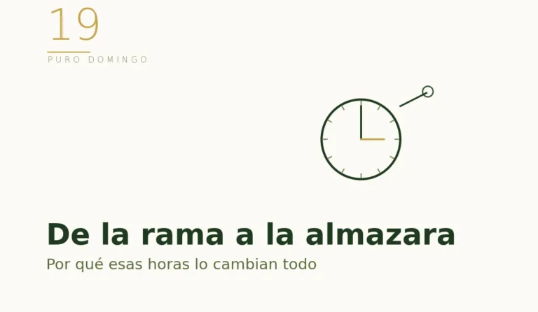 Ilustración de un reloj: las horas entre la rama y la almazara